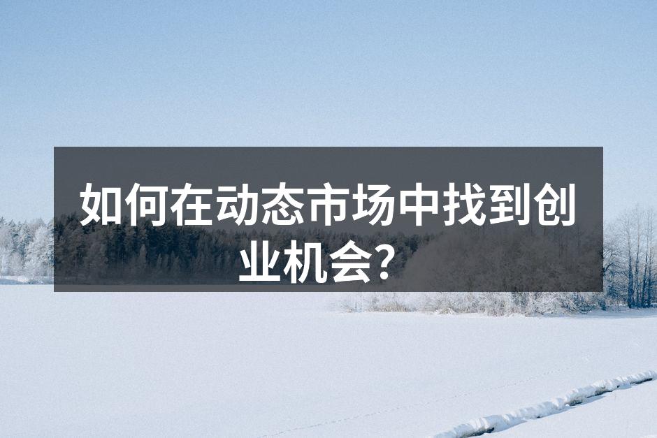 如何在动态市场中找到创业机会？